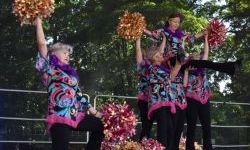 Raciborskie święto folkloru na Zamku Piastowskim (26)