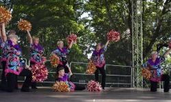 Raciborskie święto folkloru na Zamku Piastowskim (28)