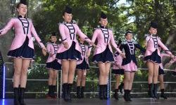 Raciborskie święto folkloru na Zamku Piastowskim (8)