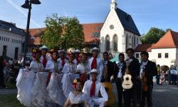 Raciborskie święto folkloru na Zamku Piastowskim (14)