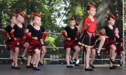 Raciborskie święto folkloru na Zamku Piastowskim (15)