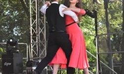 Festiwal Górnej Odry na Zamku Piastowskim (28)