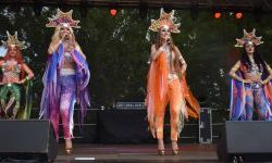 Festiwal Górnej Odry na Zamku Piastowskim (36)
