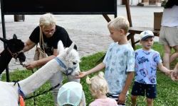 Trzecia odsłona Wakacji w Siodle - relacja z wydarzenia (7)