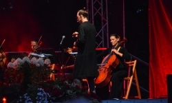 Koncert (Nie)zakazane piosenki na Zamku Piastowskim (16)