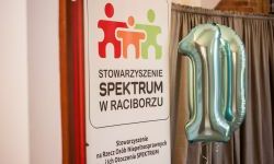 Jubileusz 10-lecia Stowarzyszenia SPEKTRUM. Konferencja na Zamku Piastowskim (18)