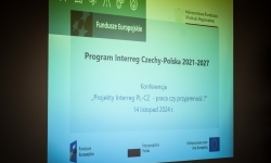 Unijny Fundusz Małych Projektów w Euroregionie Silesia: współpraca, która łączy i rozwija. Konferencja na Zamku Piastowskim (15)