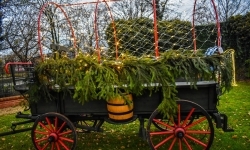 Pięknie oświetlony zamek gotowy na jarmark (12)