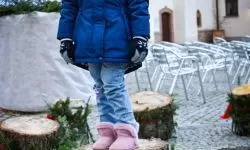 Jarmark Bajkowy Zamek 2024 ruszył na Zamku Piastowskim (2)