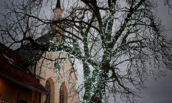 Jarmark Bajkowy Zamek 2024 ruszył na Zamku Piastowskim (1)