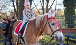 Bajkowy Zamek w Raciborzu: tłumy gości i świąteczne atrakcje (5)