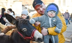 Bajkowy Zamek w Raciborzu: tłumy gości i świąteczne atrakcje (11)