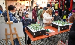 Bajkowy Zamek w Raciborzu: tłumy gości i świąteczne atrakcje (16)