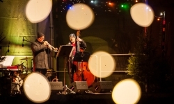 Jazzowa sobota i wiedeńska niedziela pełna zabaw. Trwa jarmark na Zamku Piastowskim (10)