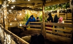 Sobotni wieczór na jarmarku na Zamku Piastowskim i program na niedzielę (11)