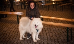 Sobotni wieczór na jarmarku na Zamku Piastowskim i program na niedzielę (19)