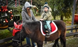 Niedziela na zamku na Zamku Piastowskim w Raciborzu: maszyny z klocków, zumba i koncerty (7)