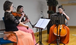 Muzyczna podróż do świata bajek na raciborskim zamku (5)