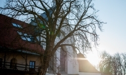 Msza Święta w intencji chorych w kaplicy zamkowej (1)