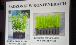 Historia i przyroda na Zamku Piastowskim – edukacyjne wydarzenie w Raciborzu (5)