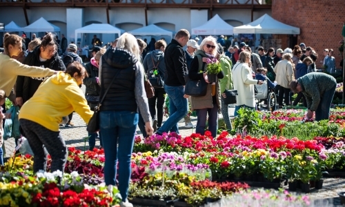 Wiosenny jarmark na raciborskim zamku za nami. Przed nami koncert i turniej rycerski