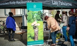 Wiosenny jarmark na raciborskim zamku za nami. Przed nami koncert i turniej rycerski (19)