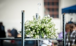 Wiosenny jarmark na raciborskim zamku za nami. Przed nami koncert i turniej rycerski (2)