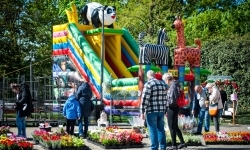 Wiosenny jarmark na raciborskim zamku za nami. Przed nami koncert i turniej rycerski (5)