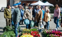 Wiosenny jarmark na raciborskim zamku za nami. Przed nami koncert i turniej rycerski (10)