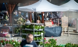 Wiosenny jarmark na raciborskim zamku za nami. Przed nami koncert i turniej rycerski (12)