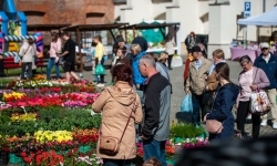 Wiosenny jarmark na raciborskim zamku za nami. Przed nami koncert i turniej rycerski (14)