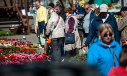 Wiosenny jarmark na raciborskim zamku za nami. Przed nami koncert i turniej rycerski (17)