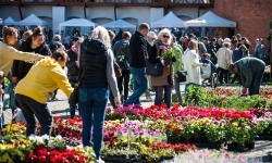 Wiosenny jarmark na raciborskim zamku za nami. Przed nami koncert i turniej rycerski (19)