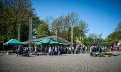 Wiosenny jarmark na raciborskim zamku za nami. Przed nami koncert i turniej rycerski (9)