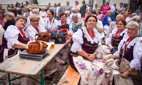 Nasz kochany Śląsk. Biesiada na Zamku Piastowskim przyciągnęła tłumy