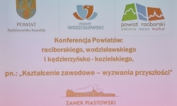 Konferencja 3 Powiat&oacute;w na Zamku Piastowskim. Rozmowa o przyszłości kształcenia zawodowego (11)