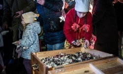 Zamkowa parada świętego Mikołaja przyciągnęła tłumy. W niedzielę wystąpi TOBY (5)