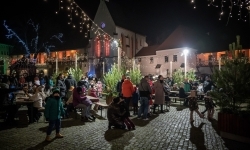 Zamkowa parada świętego Mikołaja przyciągnęła tłumy. W niedzielę wystąpi TOBY (11)