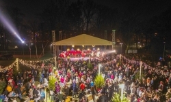 Zamkowa parada świętego Mikołaja przyciągnęła tłumy. W niedzielę wystąpi TOBY