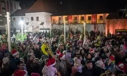 Zamkowa parada świętego Mikołaja przyciągnęła tłumy. W niedzielę wystąpi TOBY (5)