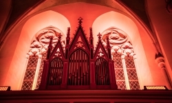 Zamkowa parada świętego Mikołaja przyciągnęła tłumy. W niedzielę wystąpi TOBY (6)