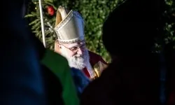 Zamkowa parada świętego Mikołaja przyciągnęła tłumy. W niedzielę wystąpi TOBY (16)