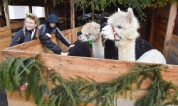 Pociąg Świątecznych Marzeń zawitał do Raciborza! (11)