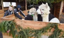 Pociąg Świątecznych Marzeń zawitał do Raciborza! (11)