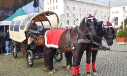 Pociąg Świątecznych Marzeń zawitał do Raciborza! (3)