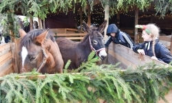 Pociąg Świątecznych Marzeń zawitał do Raciborza! (11)