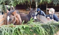 Pociąg Świątecznych Marzeń zawitał do Raciborza! (11)
