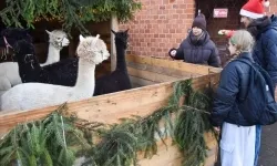 Pociąg Świątecznych Marzeń zawitał do Raciborza! (17)