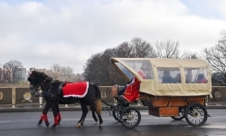 Pociąg Świątecznych Marzeń zawitał do Raciborza! (18)