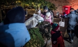 Bajkowy zamek w świątecznej odsłonie. Sobota pełna magii, w niedzielę kolejne atrakcje (15)